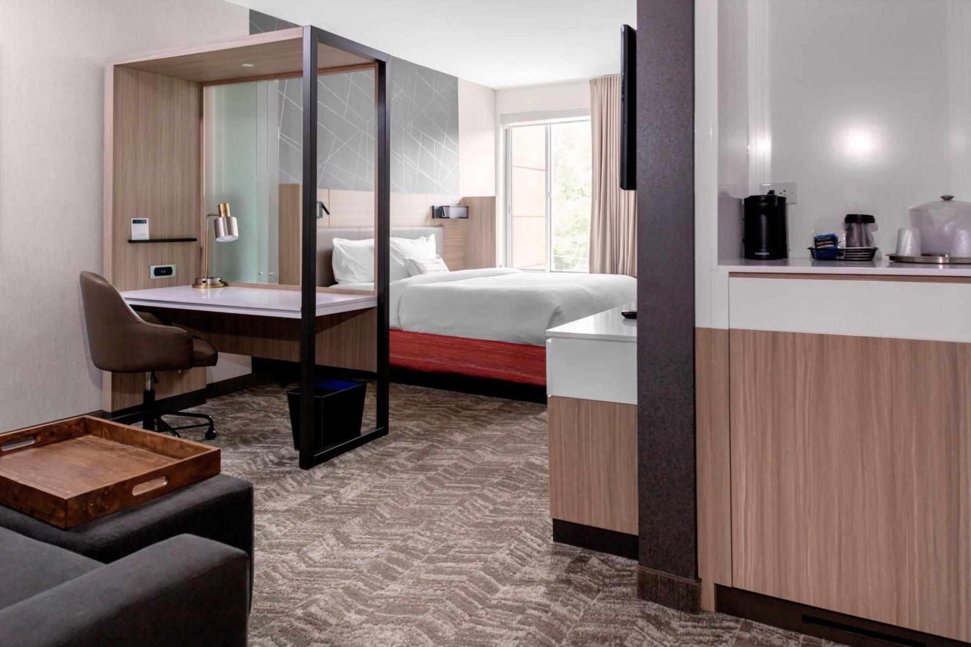 Springhill Suites By Marriott Suwanee Johns Creek Exterior photo